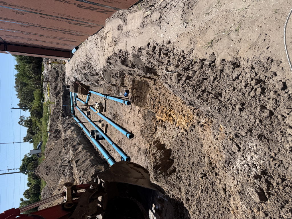 IMG 0091