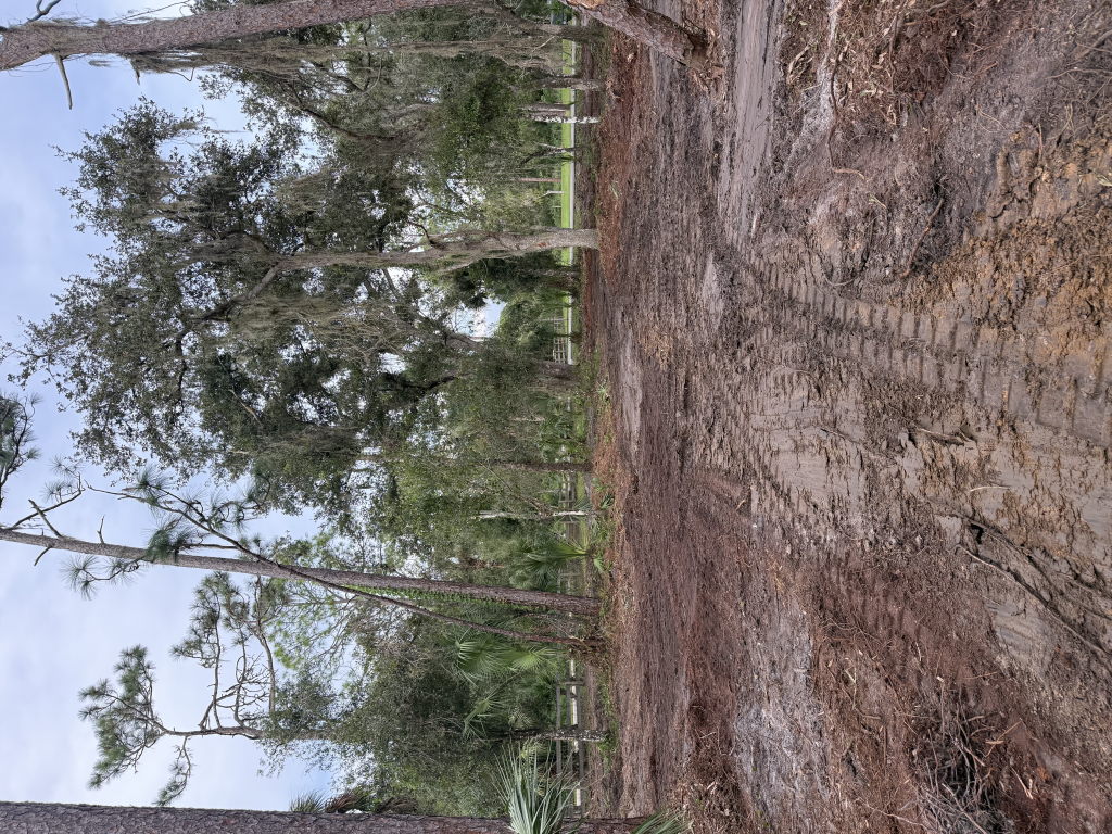 IMG 7900
