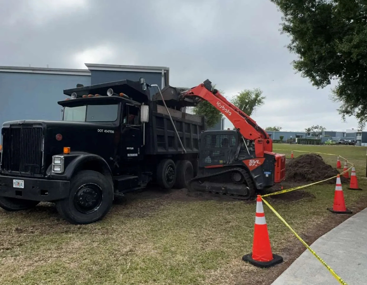 Tree and brush removal on a residential property